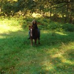 In gallop up hill Hanne Gallops on her Horse Bare Back Up a Hill